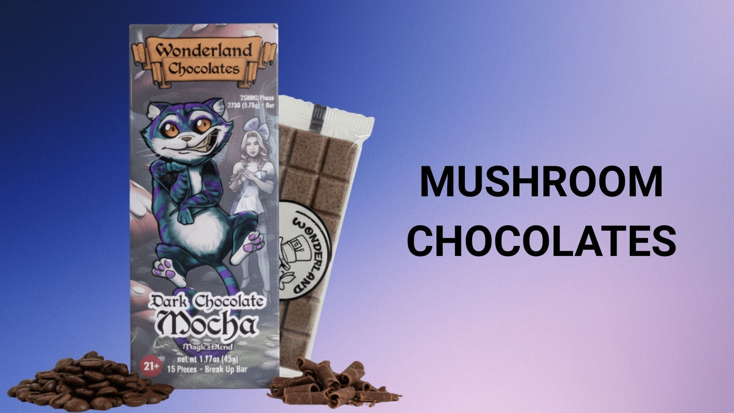 What Is Mushroom Chocolate